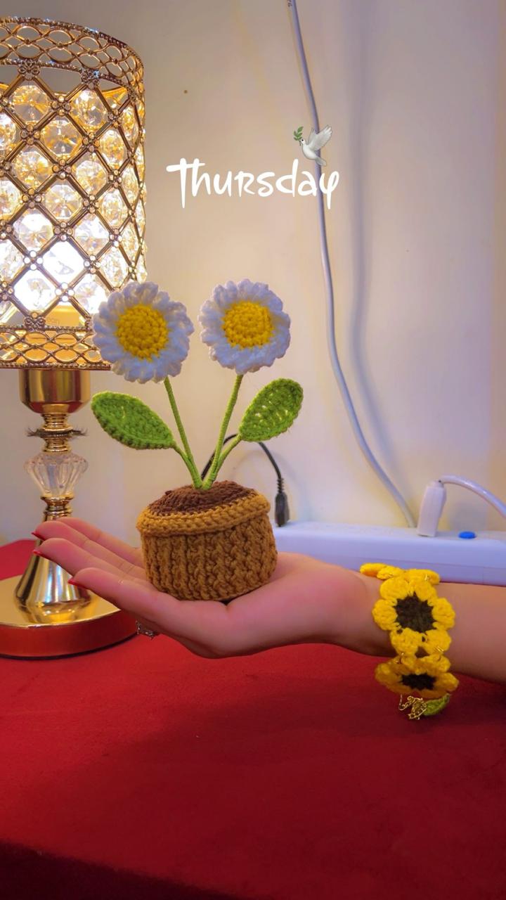 Crochet Daisy